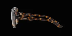 Armani Exchange 0AX4029S 811713 Solglasögon