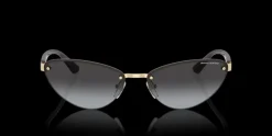 Armani Exchange 0AX2049S 61108G Solglasögon