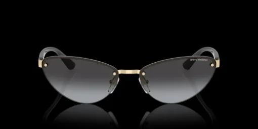 Armani Exchange 0AX2049S 61108G Solglasögon