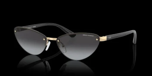 Armani Exchange 0AX2049S 61108G Solglasögon