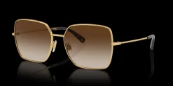 Dolce and Gabbana 0DG2242 41306 Solglasögon