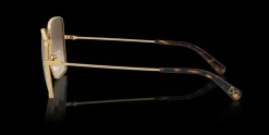 Dolce and Gabbana 0DG2242 41306 Solglasögon