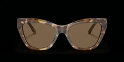Emporio Armani 0EA4176 502573 Solglasögon