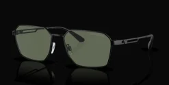 Emporio Armani 0EA2140 300171 Solglasögon