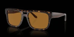 Emporio Armani 0EA4197 587983 Solglasögon