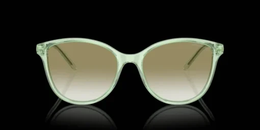 Emporio Armani 0EA4220 61078E Solglasögon