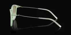 Emporio Armani 0EA4220 61078E Solglasögon