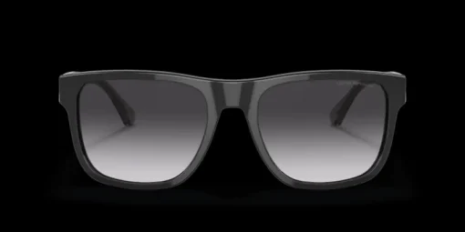Emporio Armani 0EA4163 58758G Solglasögon