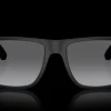 Emporio Armani 0EA4033 5229T3 Solglasögon