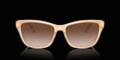 Emporio Armani 0EA4227U 609813 Solglasögon