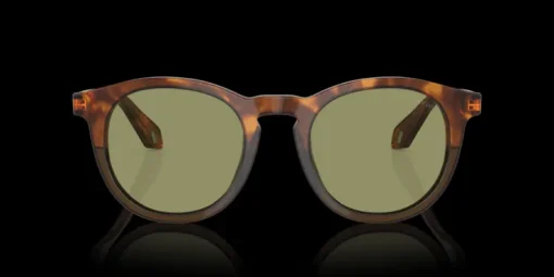 Giorgio Armani 0AR8192 598814 Solglasögon