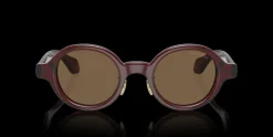 Giorgio Armani 0AR8205 606273 Solglasögon