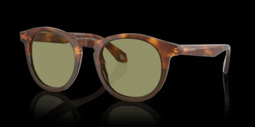 Giorgio Armani 0AR8192 598814 Solglasögon