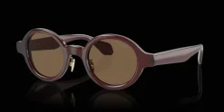 Giorgio Armani 0AR8205 606273 Solglasögon