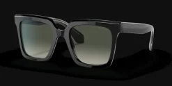 Giorgio Armani 0AR8156 587571 Solglasögon