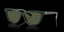 Giorgio Armani 0AR8221 617331 Solglasögon