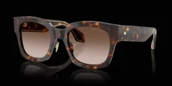 Giorgio Armani 0AR8223 502613 Solglasögon