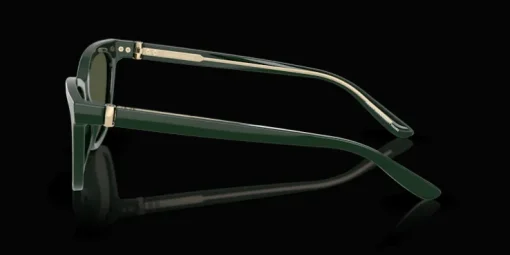 Giorgio Armani 0AR8221 617331 Solglasögon