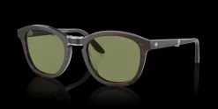 Giorgio Armani 0AR8170 59634E Solglasögon