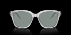 Giorgio Armani 0AR8210U 608056 Solglasögon