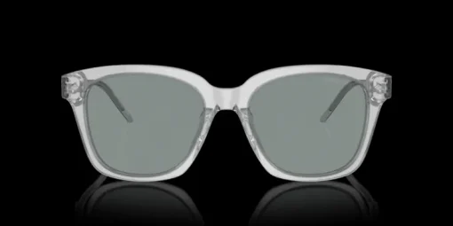 Giorgio Armani 0AR8210U 608056 Solglasögon