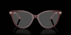 Jimmy Choo 0JC3001B 5018 Glasögonbåge