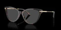 Jimmy Choo 0JC3001B 5002 Glasögonbåge