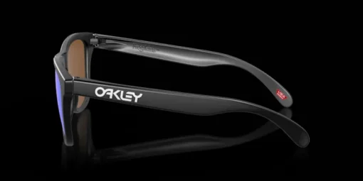 Oakley Frogskins OO9013 9013H6 Solglasögon