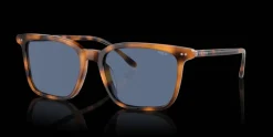 Polo Ralph Lauren 0PH4194U 608980 Solglasögon
