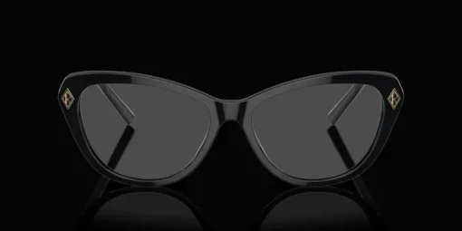 Ralph Lauren 0RL6245 5001 Glasögonbåge