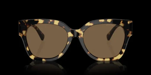Ralph Lauren 0RL8221 500473 Solglasögon