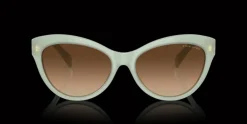 Ralph Lauren 0RL8213 608274 Solglasögon