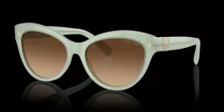 Ralph Lauren 0RL8213 608274 Solglasögon