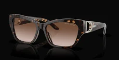 Ralph Lauren 0RL8206U 500313 Solglasögon