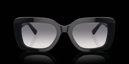 Ralph Lauren The Nikki 0RL8217U 500179 Solglasögon