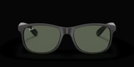 Ray-Ban Andy RB4202 606971 Solglasögon