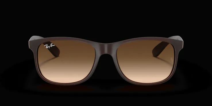 Ray-Ban Andy RB4202 607313 Solglasögon