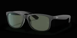 Ray-Ban Andy RB4202 606971 Solglasögon