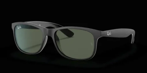 Ray-Ban Andy RB4202 606971 Solglasögon