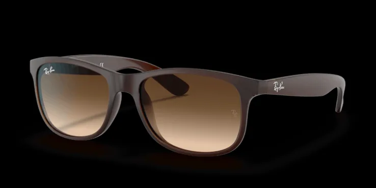Ray-Ban Andy RB4202 607313 Solglasögon