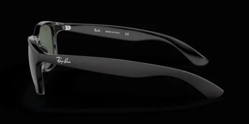 Ray-Ban Andy RB4202 606971 Solglasögon