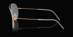 Ray-Ban Aviator Reverse RBR0101S 92023A Solglasögon