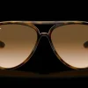 Ray-Ban Cats 5000 Classic RB4125 710/51 Solglasögon