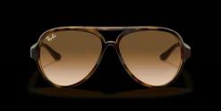 Ray-Ban Cats 5000 Classic RB4125 710/51 Solglasögon