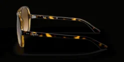 Ray-Ban Cats 5000 Classic RB4125 710/51 Solglasögon