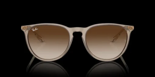Ray-Ban Erika Classic RB4171 674413 Solglasögon
