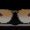 Ray-Ban Erika Classic RB4171 710/T5 Solglasögon