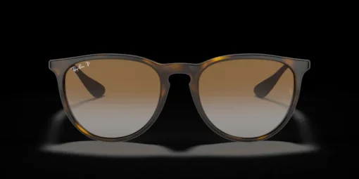 Ray-Ban Erika Classic RB4171 710/T5 Solglasögon