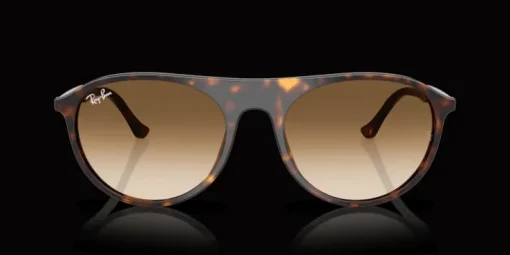 Ray-Ban 0RB2215 902/51 Solglasögon