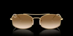 Ray-Ban 0RB3719 001/51 Solglasögon